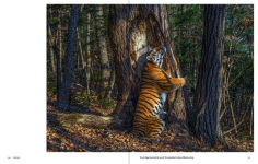 Alternative view 11 of Why We Photograph Animals