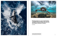 Alternative view 2 of Why We Photograph Animals