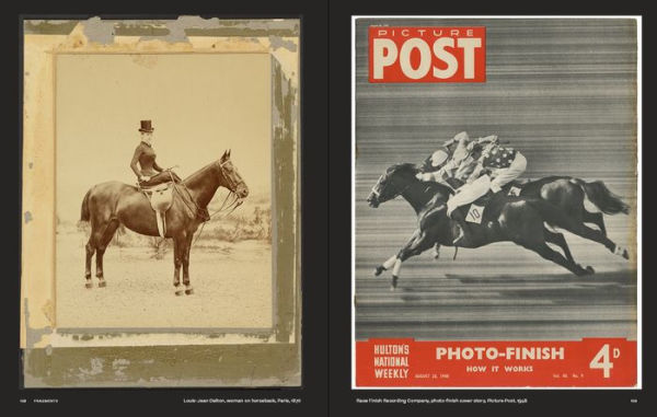 Why We Photograph Animals