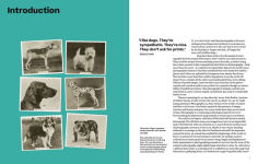 Alternative view 4 of Why We Photograph Animals