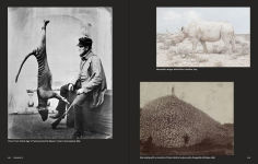Alternative view 7 of Why We Photograph Animals