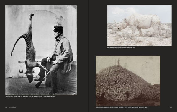 Why We Photograph Animals