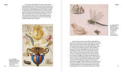 Alternative view 13 of The Drawings of Vincent van Gogh