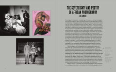 Alternative view 5 of The African Gaze: Photography, Cinema and Power