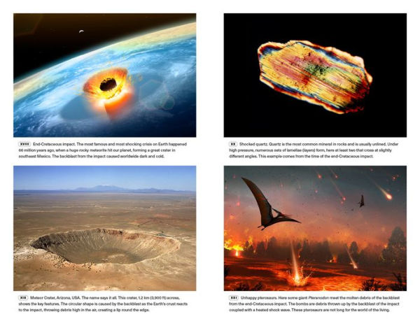 Extinctions: How Life Survives, Adapts and Evolves