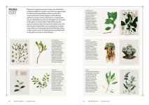 Alternative view 5 of Pagans: The Visual Culture of Pagan Myths, Legends and Rituals
