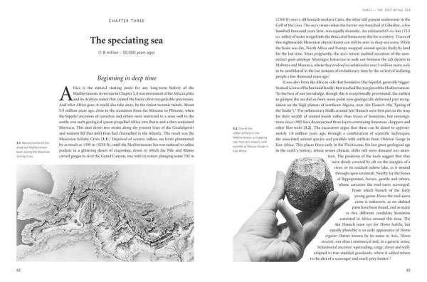 the Making of Middle Sea: A History Mediterranean from Beginning to Emergence Classical World