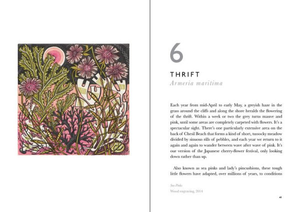 The Book of Wild Flowers: Reflections on Favorite Plants
