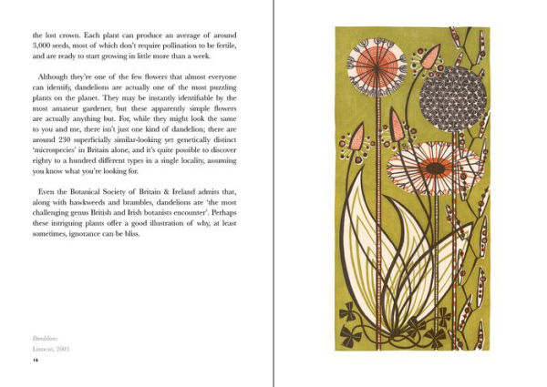 The Book of Wild Flowers: Reflections on Favorite Plants