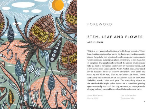 The Book of Wild Flowers: Reflections on Favorite Plants