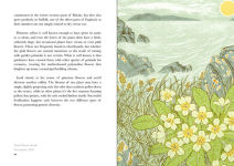 Alternative view 7 of The Book of Wild Flowers: Reflections on Favorite Plants