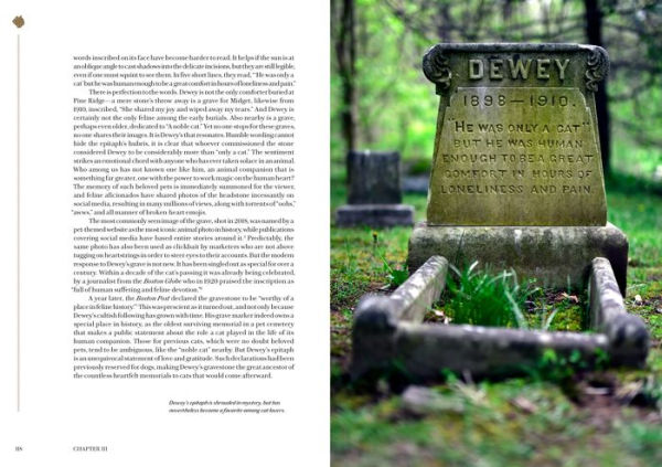 Faithful Unto Death: Pet cemeteries, animal graves, and eternal devotion