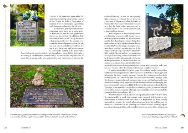 Faithful Unto Death: Pet cemeteries, animal graves, and eternal devotion