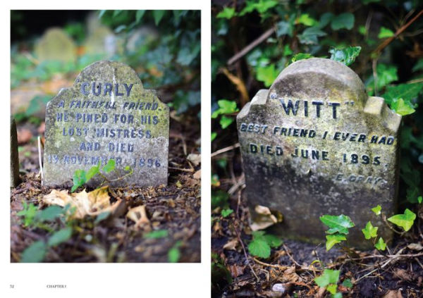 Faithful Unto Death: Pet cemeteries, animal graves, and eternal devotion