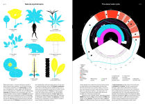 Alternative view 3 of Phenomena: An Infographic Guide to Almost Everything
