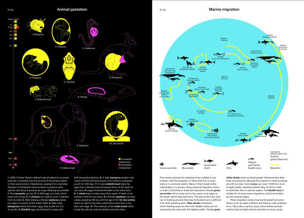 Phenomena: An Infographic Guide to Almost Everything