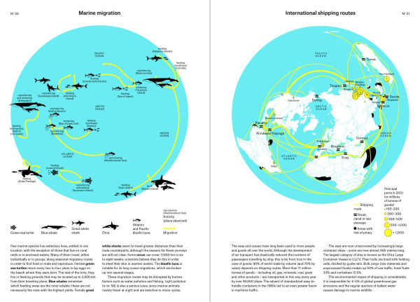 Phenomena: An Infographic Guide to Almost Everything