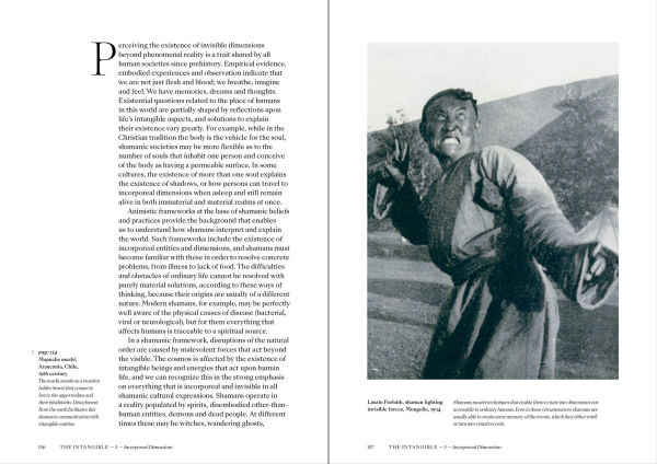 Shamans: The Visual Culture of Animism, Healing and Journeys to Other Planes