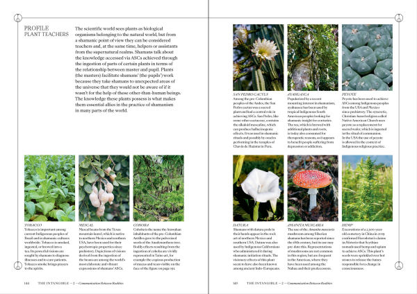 Shamans: The Visual Culture of Animism, Healing and Journeys to Other Planes