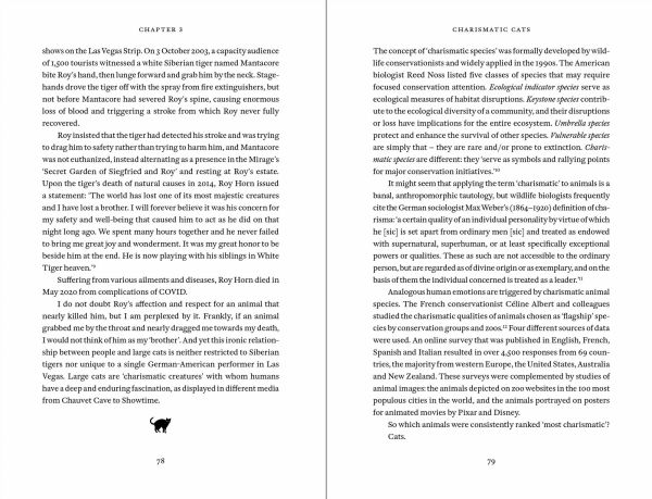 Cat Tales: A History