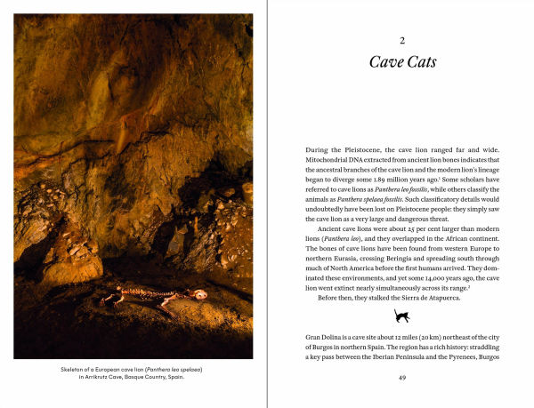 Cat Tales: A History