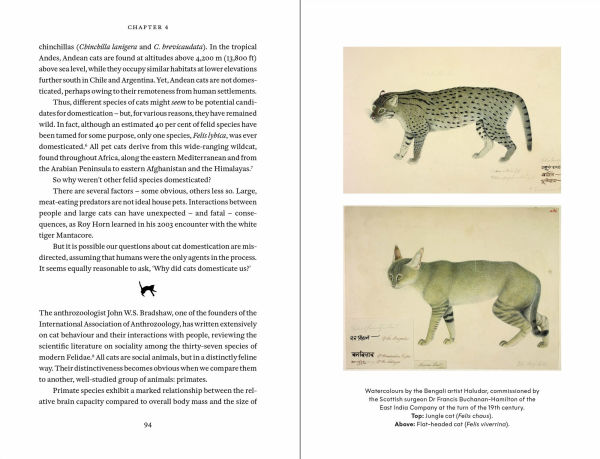 Cat Tales: A History