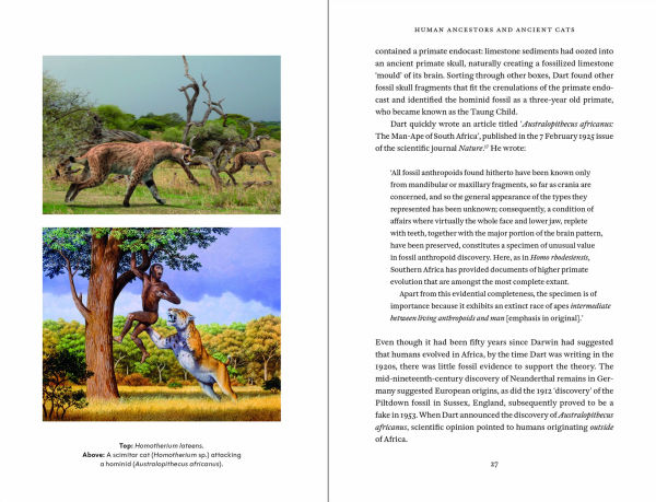 Cat Tales: A History