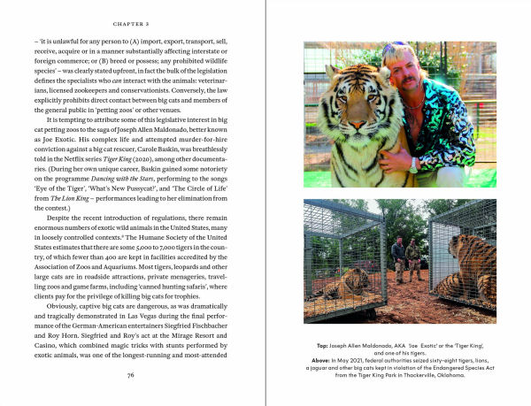 Cat Tales: A History