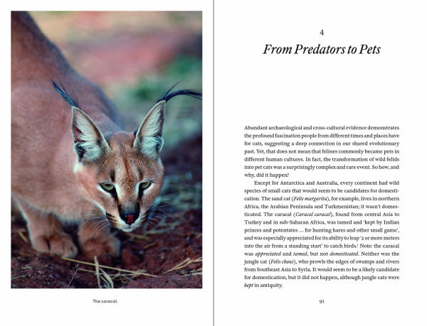 Cat Tales: A History