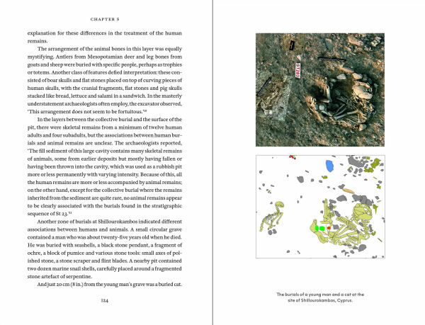 Cat Tales: A History