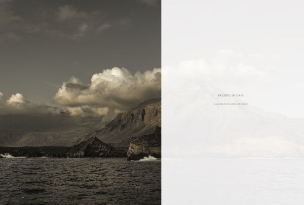 Wild Ocean: A Journey to the Earth's Last Wild Coasts