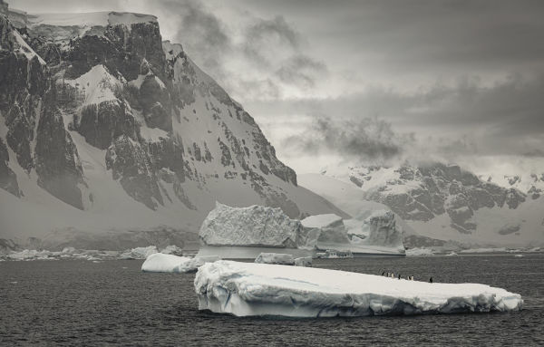 Wild Ocean: A Journey to the Earth's Last Wild Coasts