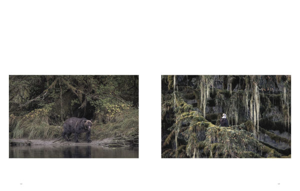 Wild Ocean: A Journey to the Earth's Last Wild Coasts