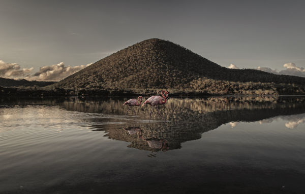Wild Ocean: A Journey to the Earth's Last Wild Coasts