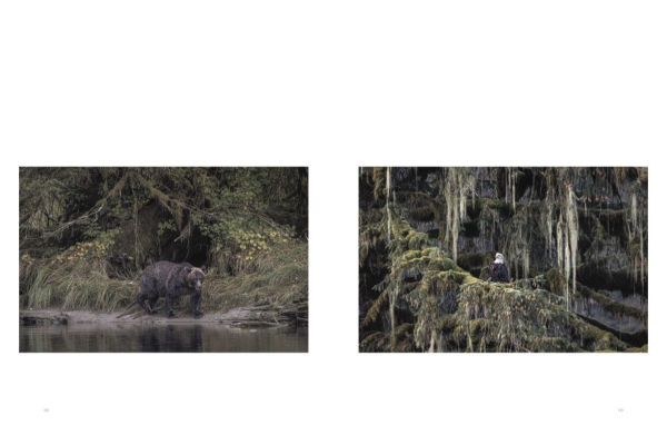 Wild Ocean: A Journey to the Earth's Last Wild Coasts