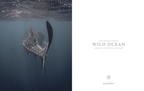 Wild Ocean: A Journey to the Earth's Last Wild Coasts