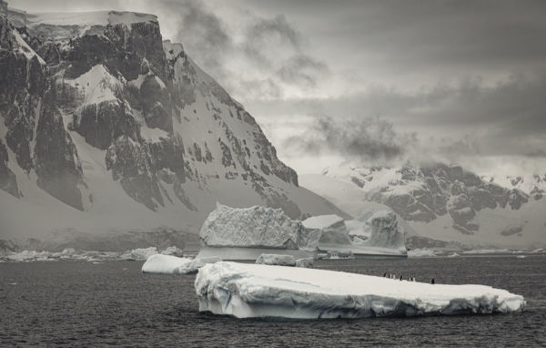 Wild Ocean: A Journey to the Earth's Last Wild Coasts