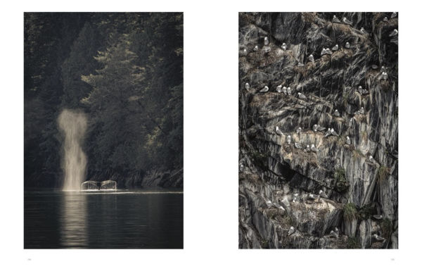 Wild Ocean: A Journey to the Earth's Last Wild Coasts