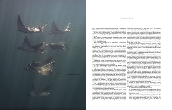 Wild Ocean: A Journey to the Earth's Last Wild Coasts