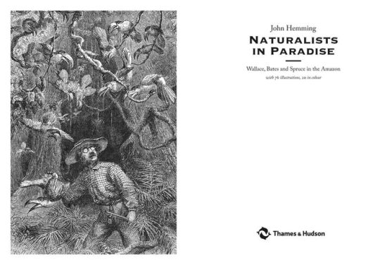 Naturalists In Paradise Wallace Bates And Spruce In The