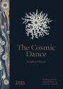 The Cosmic Dance: Finding Patterns and Pathways in a Chaotic Universe