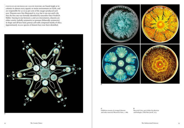 The Cosmic Dance: Finding Patterns and Pathways in a Chaotic Universe