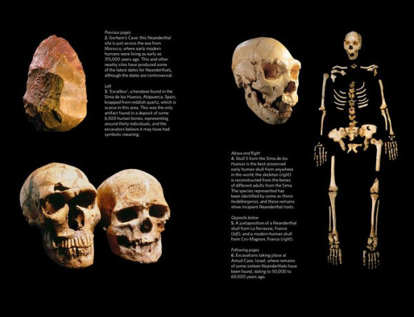 The Neanderthals Rediscovered: How Modern Science Is Rewriting Their Story