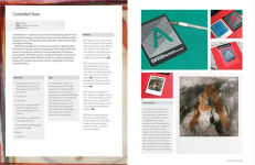 Alternative view 5 of Polaroid: The Complete Guide to Experimental Instant Photography