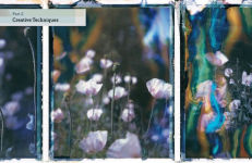 Alternative view 7 of Polaroid: The Complete Guide to Experimental Instant Photography