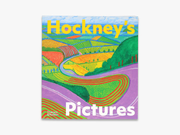 Hockney's Pictures