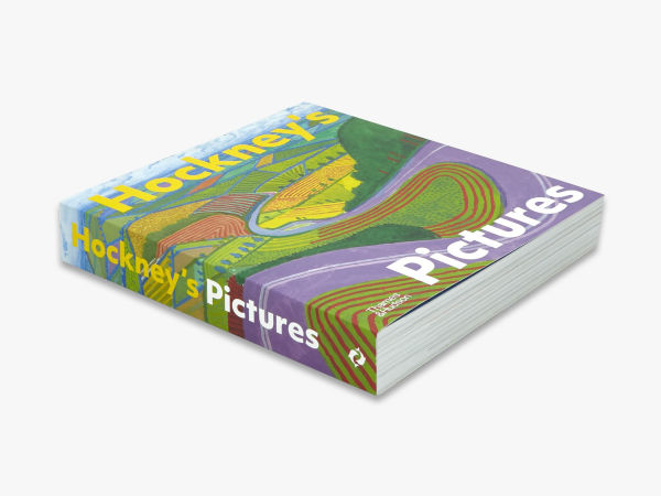Hockney's Pictures