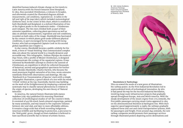 Illustration: A Concise History