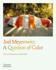 Free ebooks to download online Joel Meyerowitz: A Question of Color DJVU PDB ePub