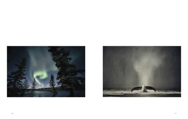 Wild Land: A Journey into the Earth's Last Wilds